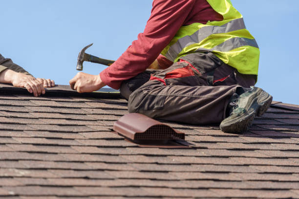 Best Shingle Roofing Installation  in Park City, MT