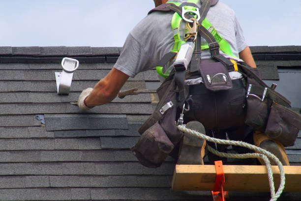 Best Best Roofing Contractors  in Park City, MT