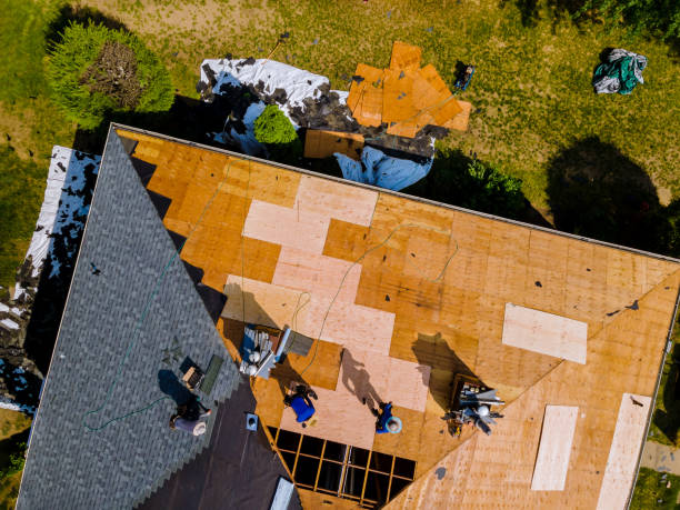 Best Commercial Roofing Services  in Park City, MT