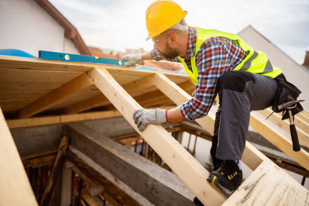 Best Flat Roof Repair Services  in Park City, MT