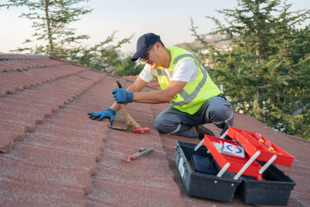 Best Residential Roofing Contractor  in Park City, MT