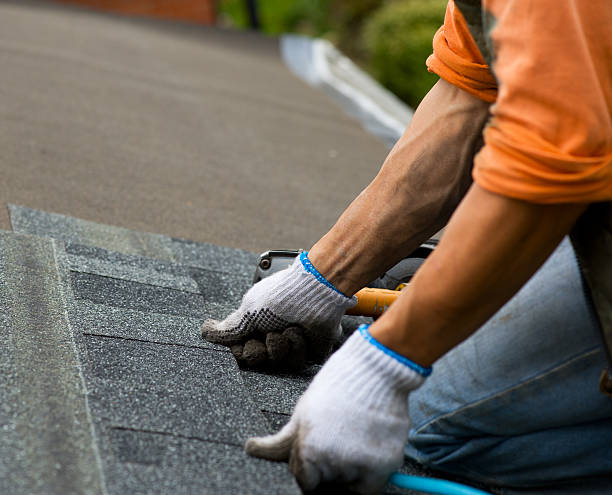 Best Roof Replacement Cost  in Park City, MT